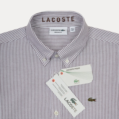 Lacoste Striped Elegance Regular Fit Shirt in Majestic Plum